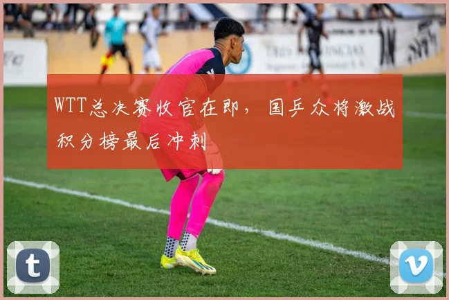 WTT总决赛收官在即，国乒众将激战积分榜最后冲刺